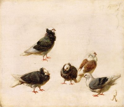 Pigeons, 1888 by Jose Ruiz Blasco